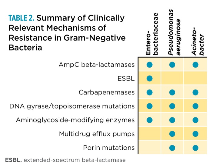 The War on (Antimicrobial) Drugs The Fight Against Superbugs