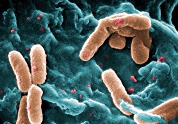 new-antimicrobials-where-they-fit-within-the-armamentarium
