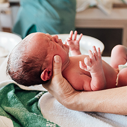 Quick Work, Collaboration Identified <em>C. Botulinum</em> Infections Associated With Powdered Infant Formula