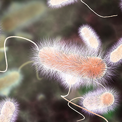 Rental Hot Tub Linked to Legionnaires’ Disease Cases