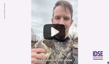 Testing Ducks for H5N1 Flu